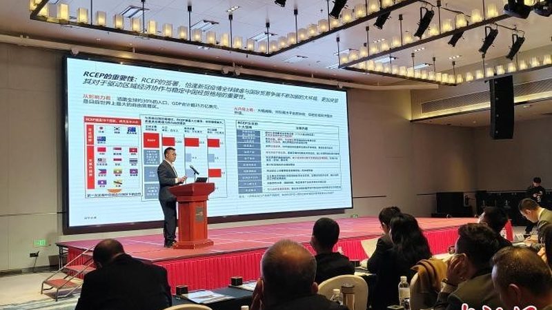 股权动态调整机制：企业治理的灵活与稳健**