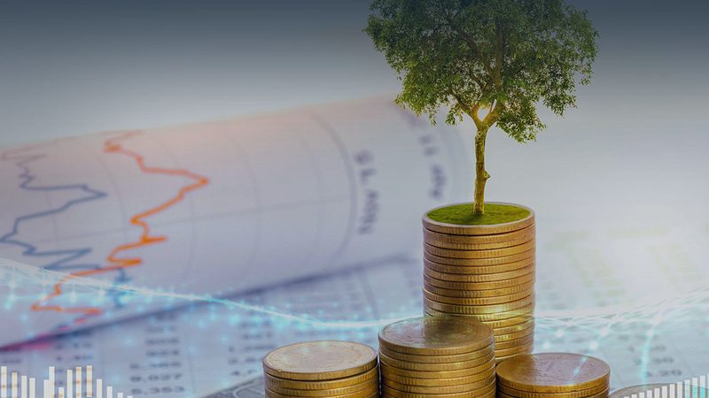 薪酬绩效体系搭建：解码成功的关键步骤**